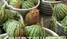 吃瓜爆料杭州小网红视频,吃瓜群众热议幕后真相